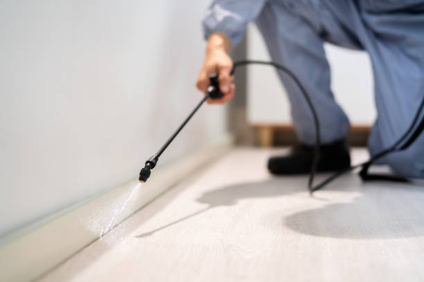 Licensed Cockroach Control service in Clinton, MS - Nex Pest Control