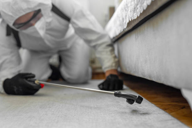 Professional Cockroach Control technician working in Clinton, MS