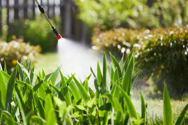 24/7 Emergency Cockroach Control experts in Clinton, MS