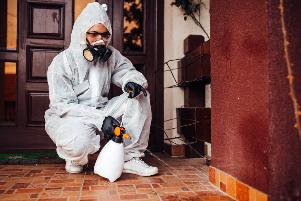 Reliable Cockroach Control contractor in Clinton, MS by Nex Pest Control