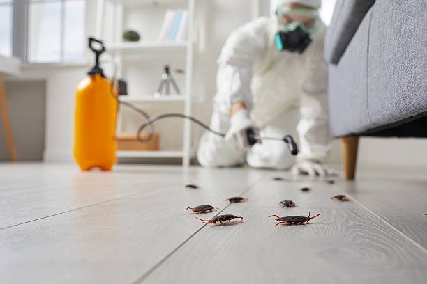 Affordable Cockroach Control solutions in Clinton, MS